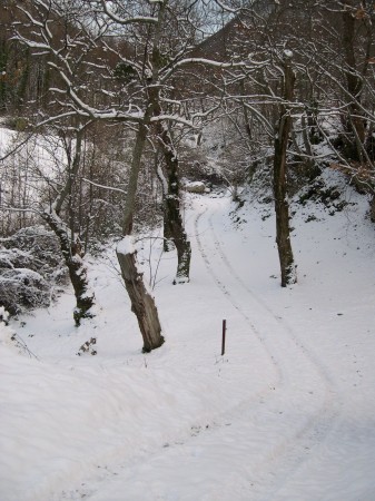 strada nella neve